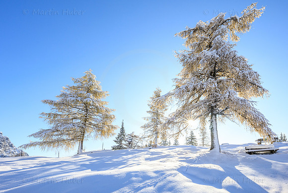 THEMENBILD, Wetter, Neuschnee im November
