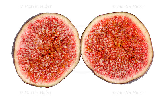 Frucht, frische Feige