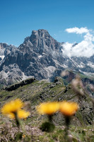 THEMENBILD, Sommer in Südtirol, Cimon della Pala