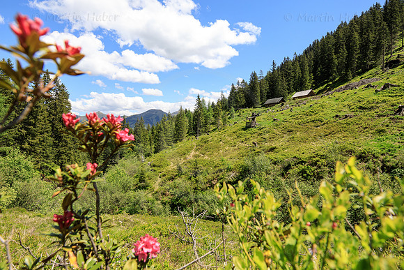 THEMENBILD, Wandern in Österreich
