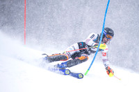 AUT, Training Reiteralm, Slalom