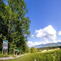 Bio-Lehrpfad Ramsau am Dachstein