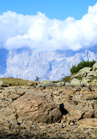 Reiteralm, Spiegelsee ohne Wasser