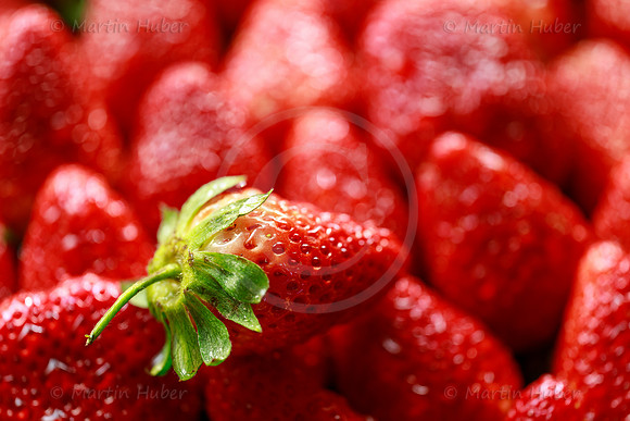 Food-Fotografie, Erdbeeren