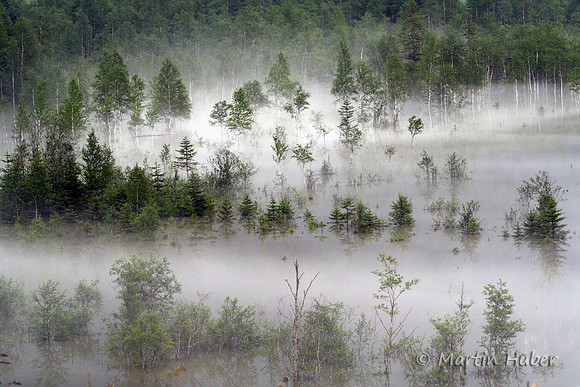 Der Tettersee - Überflutung des Tettermoores am 29.06.2009
