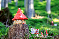 Zwergenwald