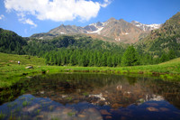 THEMENBILD, unterwegs in Südtirol, Ultental