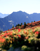 THEMENBILD, Herbst in Österreich