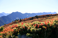 THEMENBILD, Herbst in Österreich