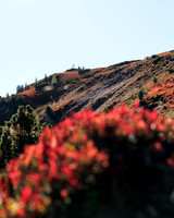 THEMENBILD, Herbst in Österreich
