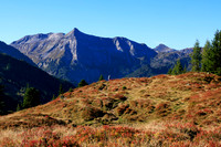 THEMENBILD, Herbst in Österreich