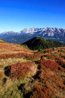 THEMENBILD, Herbst in Österreich