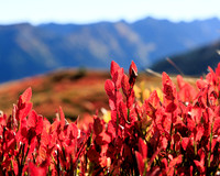THEMENBILD, Herbst in Österreich