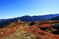 THEMENBILD, Herbst in Österreich