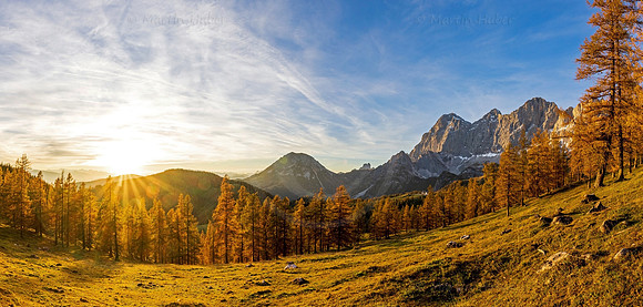 THEMENBILD, Lärchen im Herbst