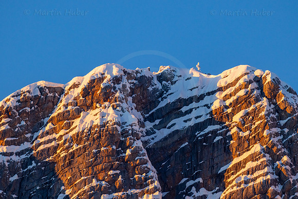 Hoher Dachstein im letzten Sonnenlicht