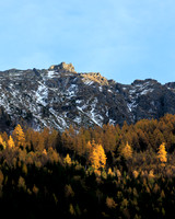 Herbst, Lärchen