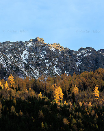 Herbst, Lärchen