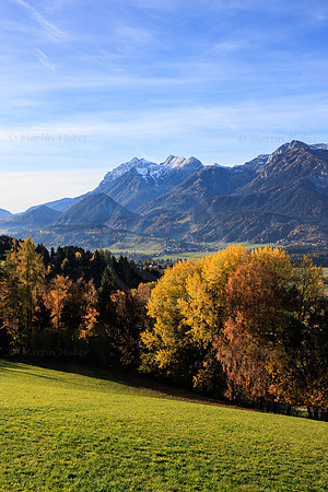 Herbst, verfärbte Bäume, Gössenberg
