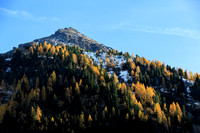 Herbst, Lärchen