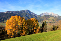 Herbst, verfärbte Bäume, Gössenberg