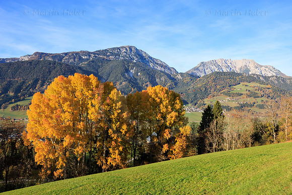 Herbst, verfärbte Bäume, Gössenberg