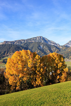 Herbst, verfärbte Bäume, Gössenberg