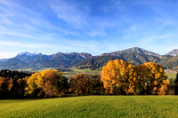 Herbst, verfärbte Bäume, Gössenberg
