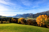 Herbst, verfärbte Bäume, Gössenberg