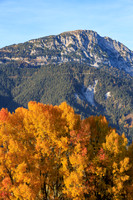 Herbst, verfärbte Bäume, Gössenberg