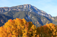 Herbst, verfärbte Bäume, Gössenberg