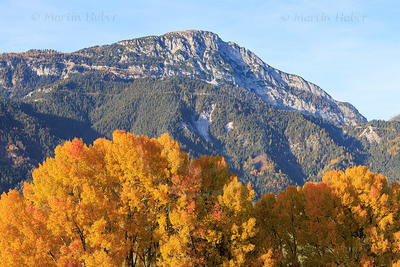 Herbst, verfärbte Bäume, Gössenberg