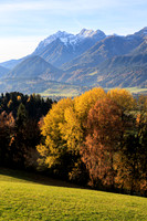 Herbst, verfärbte Bäume, Gössenberg