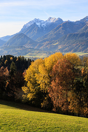 Herbst, verfärbte Bäume, Gössenberg