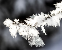 THEMENBILD, Winter in Österreich, Untertal bei Schladming, Tettermoor