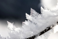THEMENBILD, Winter in Österreich, Untertal bei Schladming, Tettermoor