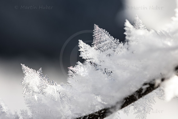 THEMENBILD, Winter in Österreich, Untertal bei Schladming, Tettermoor