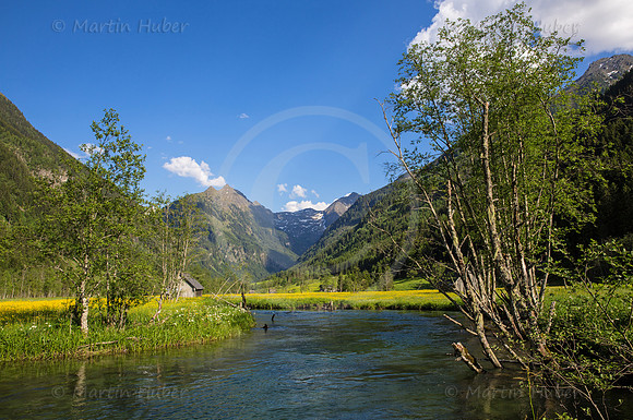 Untertalbach und gelb blühende Wiese