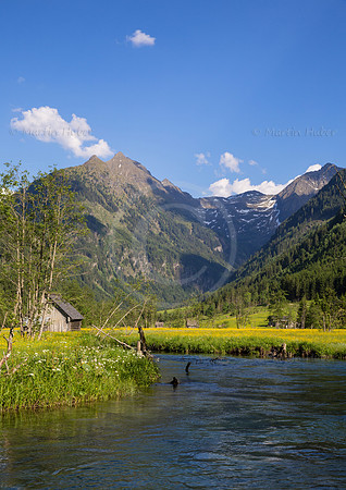 Untertalbach und gelb blühende Wiese