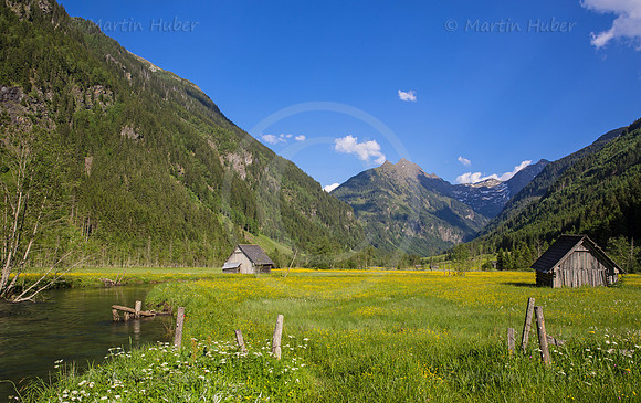 Untertalbach und gelb blühende Wiese