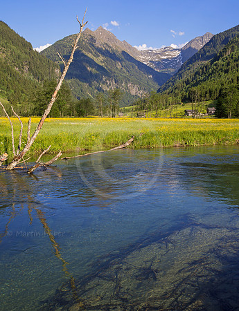 Untertalbach und gelb blühende Wiese