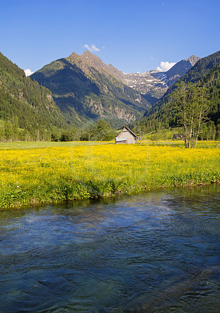 Untertalbach und gelb blühende Wiese
