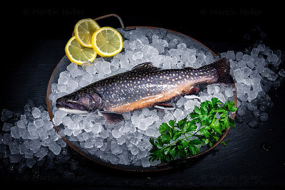 Food-Fotografie, frischer Bachsaibling