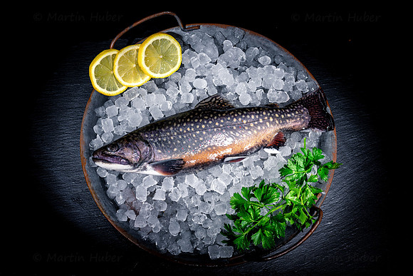 Food-Fotografie, frischer Bachsaibling