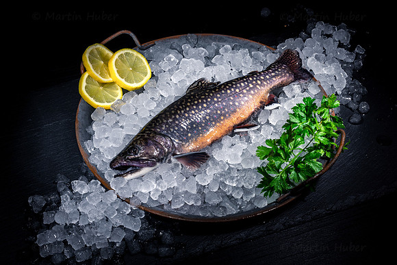 Food-Fotografie, frischer Bachsaibling