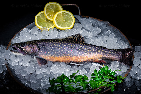Food-Fotografie, frischer Bachsaibling