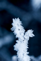 THEMENBILD, Wetter, Frost, Eis