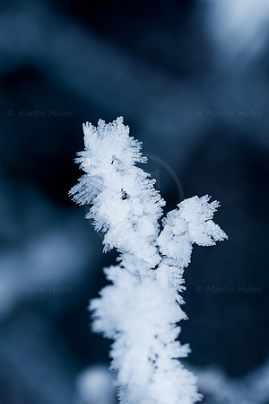 THEMENBILD, Wetter, Frost, Eis