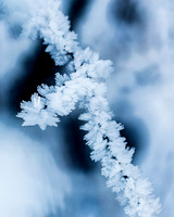 THEMENBILD, Wetter, Frost, Eis