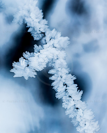 THEMENBILD, Wetter, Frost, Eis